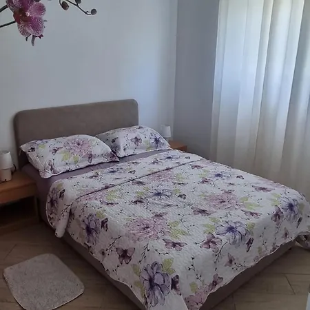 Oasis Vlasici