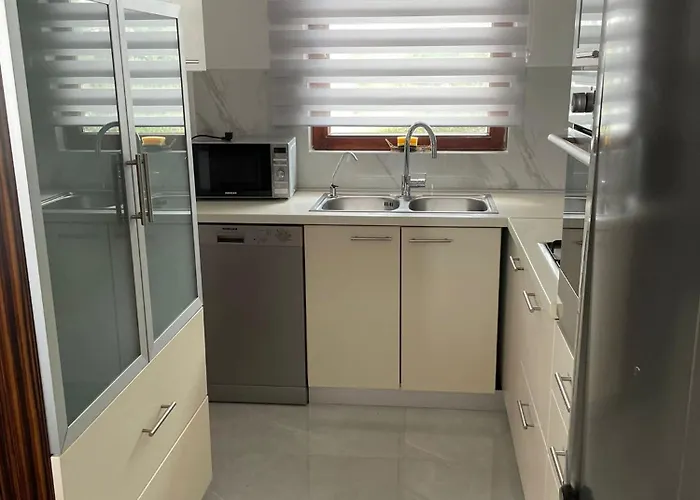 Oasis * Влашичи